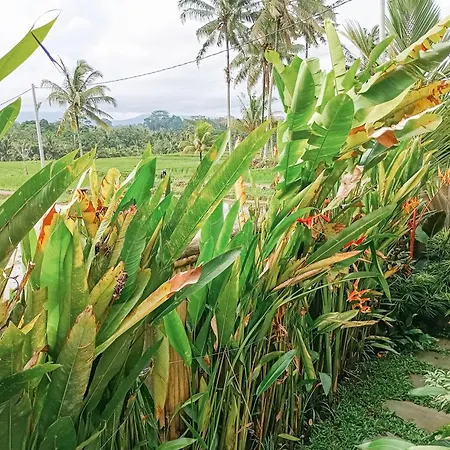Nyoman Sandat House 1